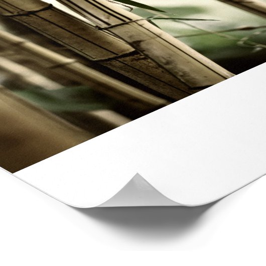 Poster La forêt de Bambou (Coin)