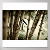 Poster La forêt de Bambou (Devant)