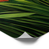 Poster La forêt de Bambou vert (Coin)