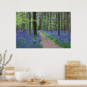 Poster La forêt de Halle | Halle, Belgique (Cuisine)