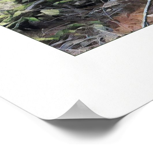 Poster La forêt de Mossy (Coin)