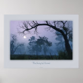 Poster La forêt de queue de fée (Devant)