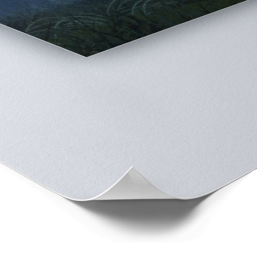 Poster La forêt de queue de fée (Coin)