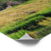 Poster La forêt d'Emeraude (Coin)