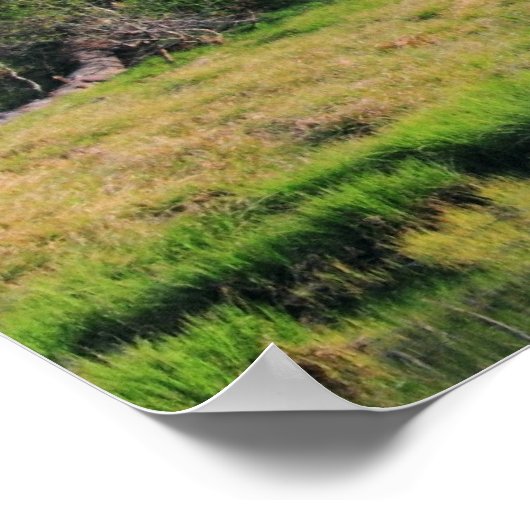 Poster La forêt d'Emeraude (Coin)