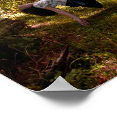 Poster La forêt des rêves (Coin)