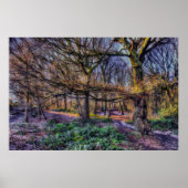 Poster La forêt enchantée 1 (Devant)