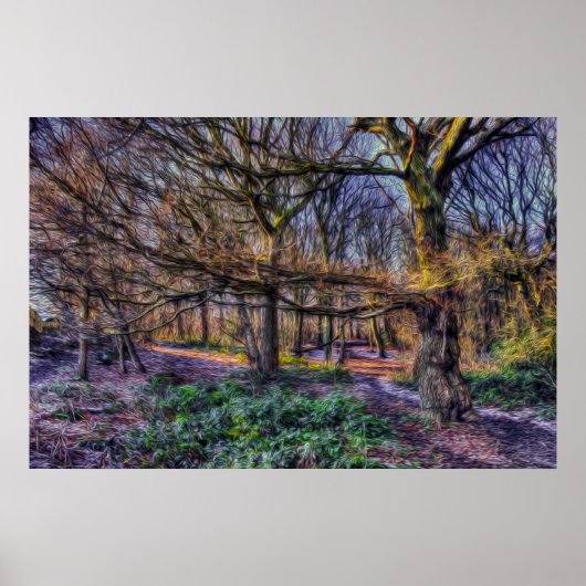 Poster La forêt enchantée 1 (Devant)