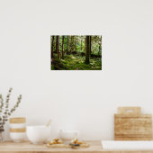 Poster La forêt tropicale de la péninsule olympique (Cuisine)