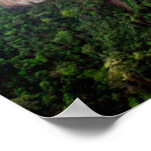 Poster La forêt tropicale du Brésil (Coin)