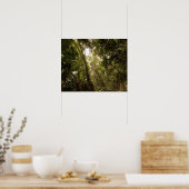 Poster La forêt tropicale du fleuve Daintree (Cuisine)