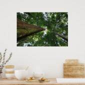 Poster La forêt tropicale indonésienne (Cuisine)