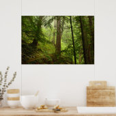 Poster La forêt tropicale olympique Evergeens et Mist Pho (Cuisine)