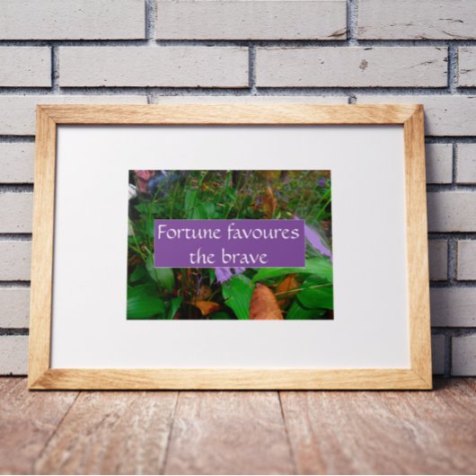 Poster La fortune du proverbe favorise l'affiche courageu