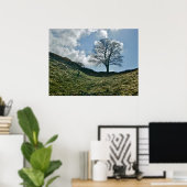 Poster La fracture d'Hadrien dans le mur, arbre Sycamore (Bureau à domicile)