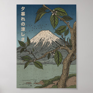 Poster la fraîcheur du soir