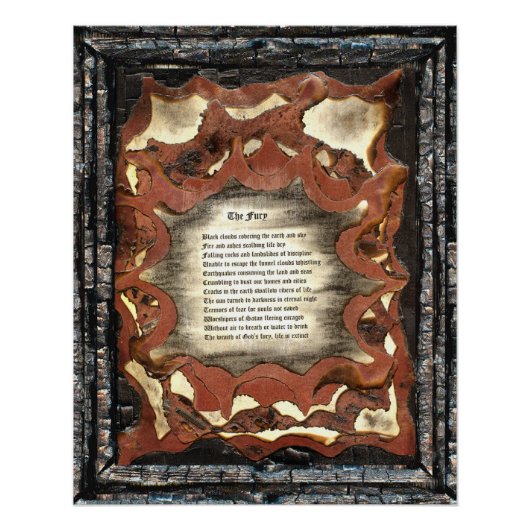 Poster La Furie (Devant)