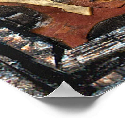 Poster La Furie (Coin)