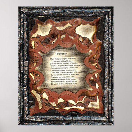 Poster La Furie (Devant)