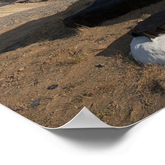 Poster La fusée Soyouz peu après son arrivée (Coin)