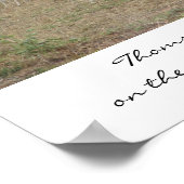 Poster La Gazelle de Thomson sur le Serengeti, Ta... (Coin)