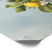Poster La générosité du printemps : la floraison du citro (Coin)