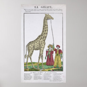 Poster La girafe présentée au roi