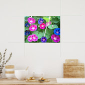 POSTER LA GLOIRE DE LA GLOIRE DU MATIN (Cuisine)