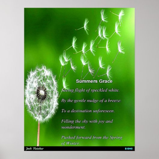 Poster La grâce de l'été (Devant)