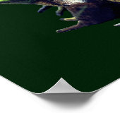 Poster La grande vieille nature de la grenouille taureau (Coin)