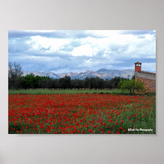 Poster La grange de campagne dans le champ de coquelicots (Devant)