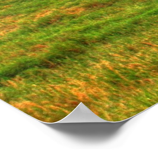 Poster La grange d'Otter Creek (Coin)