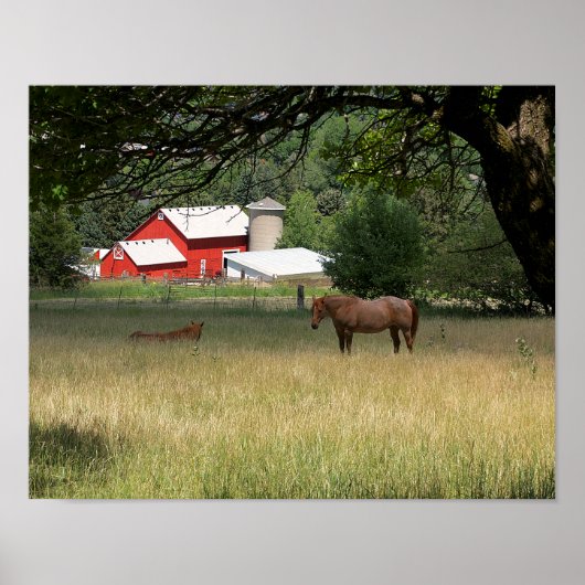 Poster La Grange Rouge Et Les Chevaux (Devant)