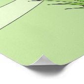 Poster la grenouille (Coin)