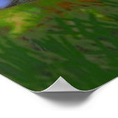 Poster La grenouille et l'escargot (Coin)