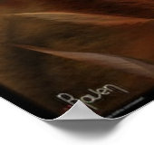 Poster La Grotte (Coin)