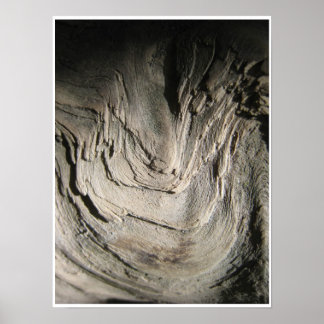 Poster La Grove des Patriarches