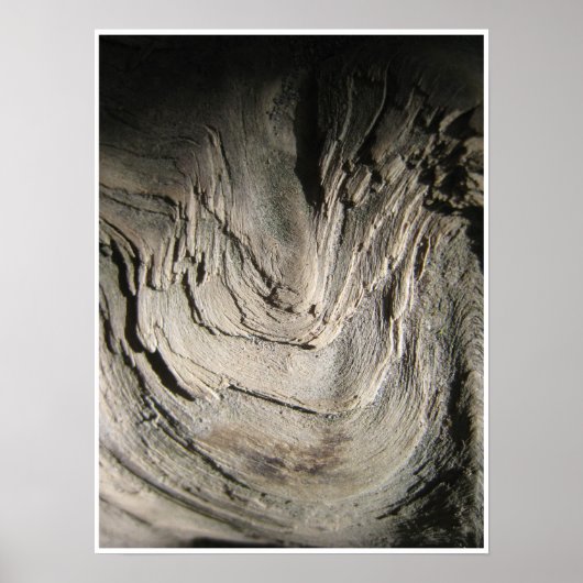 Poster La Grove des Patriarches (Devant)