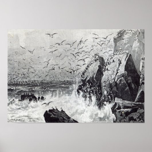 Poster La hantée des Mouettes (Devant)