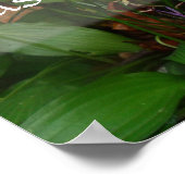 Poster La hâte, le gaspillage, l'affiche de sagesse (Coin)