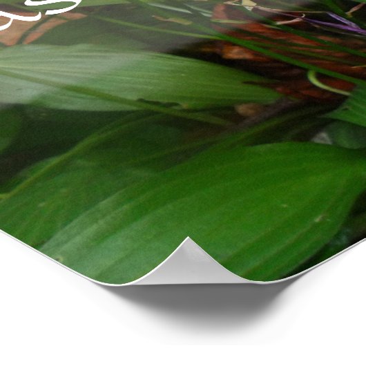 Poster La hâte, le gaspillage, l'affiche de sagesse (Coin)