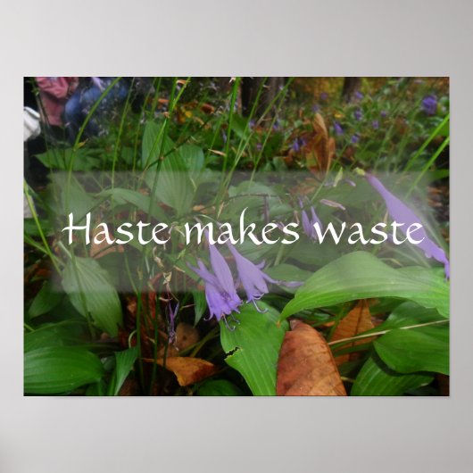 Poster La hâte, le gaspillage, l'affiche de sagesse (Devant)