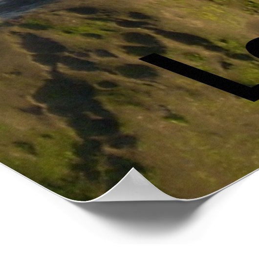 Poster La Jolla, CA (Coin)