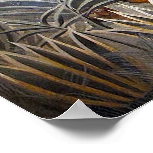 Poster La jungle équatoriale (Coin)