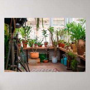 Poster La jungle urbaine. Jardin d'hiver avec plantes, fl