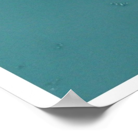 Poster La libellule (Coin)