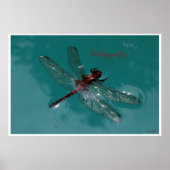 Poster La libellule (Devant)