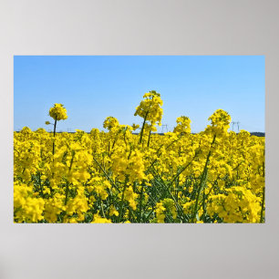 Poster La ligne d'horizon - Couleurs de la nature sauvage
