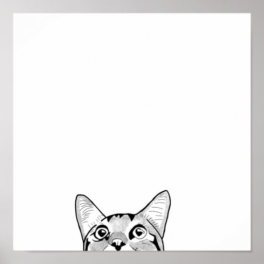 Poster La ligne faciale à demi-chat (Devant)