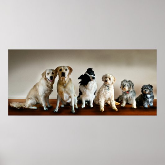 Poster La ligne vers le haut (Devant)